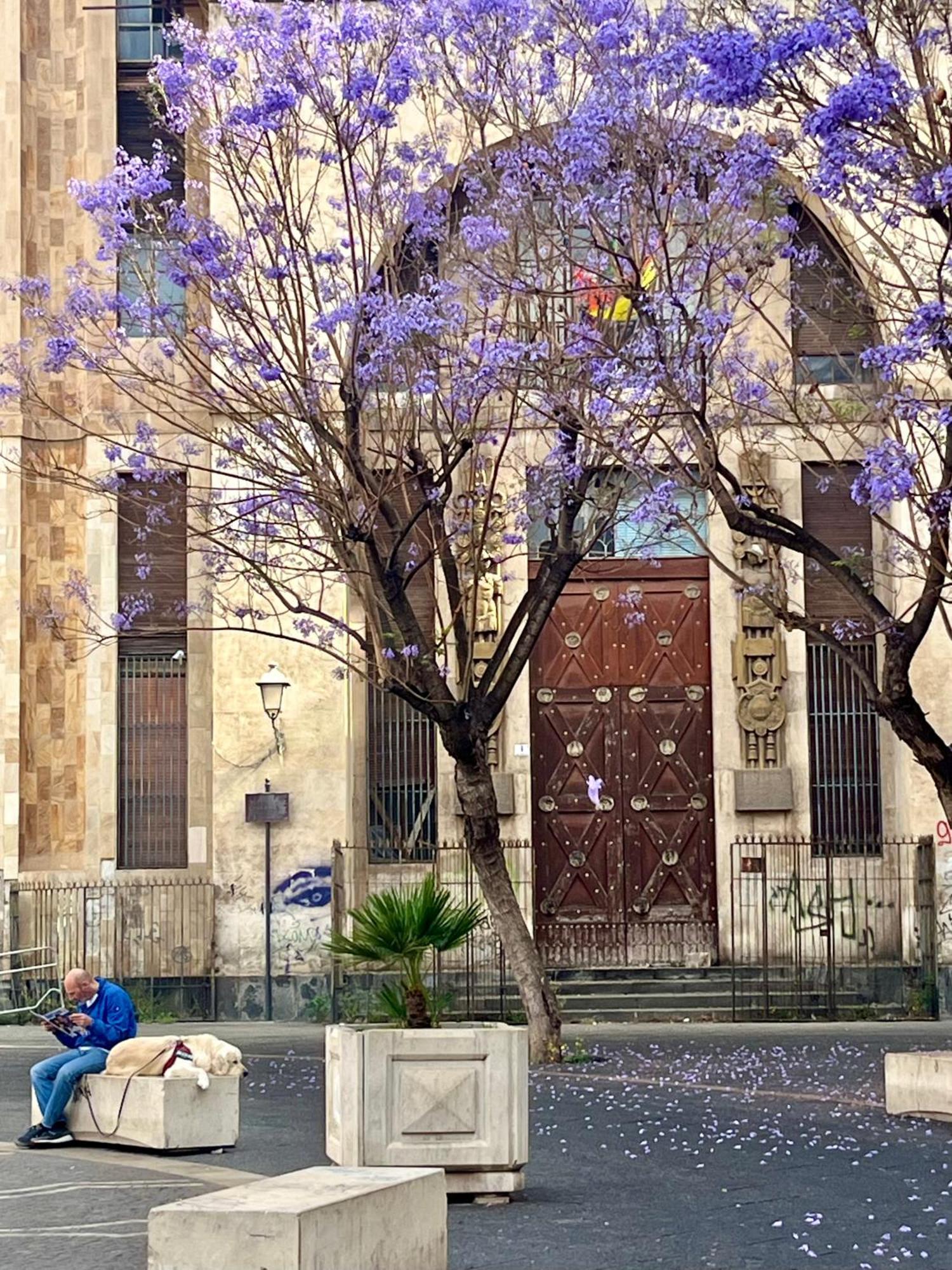 Happy Home Catania Exterior foto